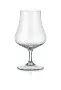 6x 150ml Cognac Serius Gentleman