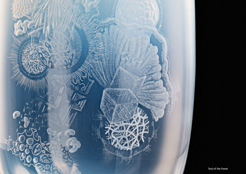 Microcosmos vase - Image 4